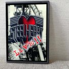 STEELHEART Live, Videos & More 1990 - 1992 DVD STEELHEART Live, Videos & More 1990 - 1992 DVD