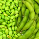 GG88 10 Edamame Soy bean Seeds for Planting ""Be Sweet"" Asian Japanese Vege  From US Warehouse