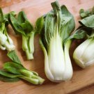 GG88 4000 Bok Choy Seeds Chinese White Stem Pak Choi Chinese Cabbage Seeds USA Warehouse