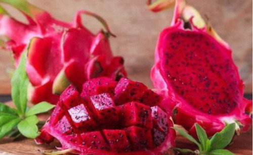 GG88 70 Red Dragon Fruit Seeds Pitaya Pitahaya Hylocereus Undatus Cactus Grow Rare USA Warehouse