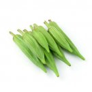 GG88 70 Okra seed Spineless Heirloom Vegetable Seeds NON-GMO USA Warehouse