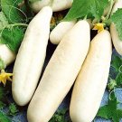 GG88 White Wonder Cucumber 30 Seeds- Heirloom Non-Gmo Vegetable Variety USA Warehouse