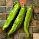 GG88 New Mexico Big Jim Mild Chili Pepper 15 Seeds- Numex Hatch Ristra USA Warehouse