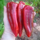 GG88 Marconi Red Pepper Giant 12 Seeds Limited Qty USA Warehouse