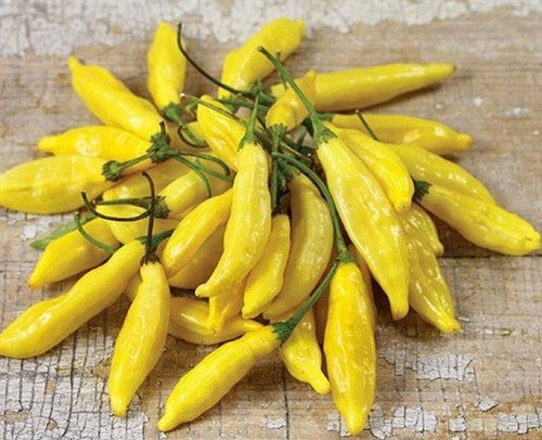 GG88 Lemon Drop Pepper Seeds USA Warehouse