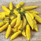 GG88 Lemon Drop Pepper Seeds USA Warehouse