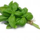 GG88 Genovese Basil Seeds 500 Seeds Non-Gmo Heirloom Vegetable Fragrant Herb USA Warehouse