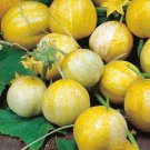 GG88 Crystal Apple Cucumber 30 Seeds Organic Non-Gmo Heirloom Vegetable USA Warehouse