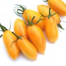 GG88 Blush Tomato 12 Seeds Heirloom Tomato 12 Seed USA Warehouse