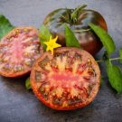 GG88 Black Krim Tomato Heirloom Heirloom Tomato 12 Seed USA Warehouse