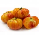 GG88 Big Rainbow Beefsteak Tomato 30 Seeds Non-Gmo Heirloom Seeds USA Warehouse