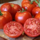 GG88 Better Boy Tomato 12 Seeds Limited Qty: Heirloom Non Gmo USA Warehouse