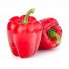 GG88 Red Bell Pepper Seeds Heirloom Non Gmo Ship USA Warehouse