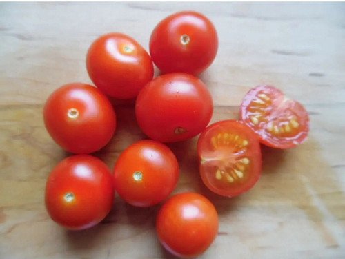 GG88 Bonsai Micro Dwarf 12 Seeds Sweet Cherry Tomato Vegetable USA Warehouse