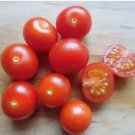 GG88 Bonsai Micro Dwarf 12 Seeds Sweet Cherry Tomato Vegetable USA Warehouse