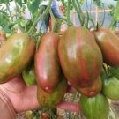 GG88 Sweet Tooth Tomato 12 Seeds Ship USA Warehouse