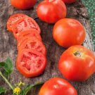 GG88 Rutgers Tomato 30 Seeds Non-Gmo Fresh Garden Seeds  Have Beefsteak USA Warehouse