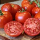 GG88 Better Boy Tomato 15 Seeds Non-Gmo Organically Grown USA Warehouse