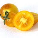 GG88 Gold Pearl Micro Dwarf 12 Seeds Ship! USA Warehouse