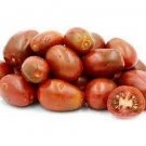 GG88 Evan'S Chocolate Plum Tomato 12 Seeds USA Warehouse