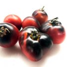 GG88 Indigo Apple Tomato 12 Seeds USA Warehouse