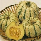 GG88 40 Plus Sweet Dumpling Winter Squash Seeds Non GMO seeds Open Pollinated USA Warehouse