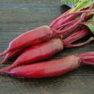 GG88 200 Plus Cylindra Beet Seeds NON GMO Open Pollinated Organic USA Warehouse