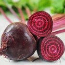 GG88 200 Early Wonder Beet Seeds Open Pollinated Non GMO Organic USA Warehouse