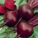 GG88 150 Detroit Dark Red Beet Seeds NON GMO Open Pollinated Organic USA Warehouse