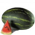 GG88 25 Cal Sweet Supreme Watermelon Red Citrullus Lanatus 30 Lb Melon Fruit Seeds USA Warehouse