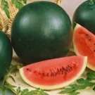 GG88 Heirloom Sugar Baby Watermelon 25 Seeds NonGmo Fresh Garden Seeds Usa USA Warehouse