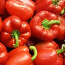 GG88 100 Red Bell Pepper Seeds Organic Non Gmo USA Warehouse