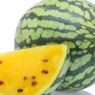 GG88 11 Seeds Watermelon Yellow Petite Heirloom Fruit Usa  USA Warehouse