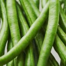 GG88 20 Seeds Bean Kentucky Wonder Pole Bean Items  USA Warehouse