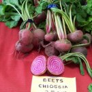 GG88 165 Seeds Beet Chioggia Candystripe Bullseye Beet  USA Warehouse