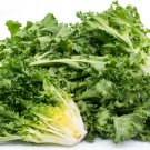 GG88 350 Seeds Endive Green Curled Ruffec Salad Greens  USA Warehouse