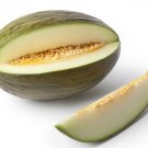 GG88 12 Early Valencia Melon Seeds Valencia Winter Honeydew Heirloom Organic USA Warehouse