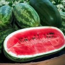 GG88 12 Congo Watermelon Seeds Large Non Gmo Heirloom Organic USA Warehouse