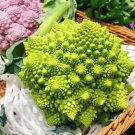 GG88 1000 Romanesco Broccoli Seeds Non Gmo Heirloom Organic Fresh USA Warehouse