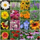 GG88 500 Wildflower Mix All Perennial Heirloom Pollinator Non Gmo Fresh USA Warehouse