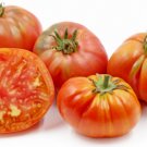 GG88 10 Vintage Wine Striped Tomato Seeds Beefsteak Heirloom Huge 1 Lb Rare USA Warehouse