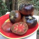 GG88 10 Black Beauty Tomato Seeds Organic Heirloom Rare USA Warehouse