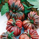 GG88 120 Black From Tula Tomato Seeds Heirloom Organic Non Gmo Rare USA Warehouse