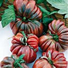 GG88 30 Black From Tula Tomato Seeds Heirloom Organic Non Gmo Rare USA Warehouse