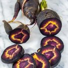 GG88 200 Black Nebula Carrot Seeds Heirloom Organic Non Gmo Fresh Rare USA Warehouse