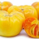 GG88 10 Pineapple Tomato Seeds Heirloom Organic Non Gmo Fresh Rare USA Warehouse