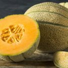 GG88 20 Honey Rock Cantaloupe Melon Heirloom Organic NonGmo Fresh USA Warehouse