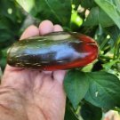 GG88 10 Mammoth Jalapeno Hot Pepper Seeds Fresh Non Gmo Organic Rare USA Warehouse