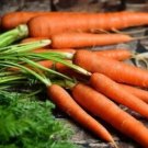 GG88 1000 Tendersweet Carrot Seeds Non Gmo Heirloom Organic Fresh USA Warehouse