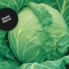 GG88 1000 Cabbage Seeds Copenhagen Market Heirloom Non Gmo Fresh USA Warehouse